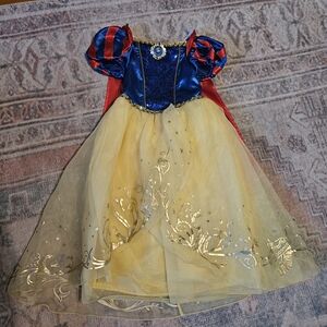 Disney Royal Blue and Gold Princess Costume